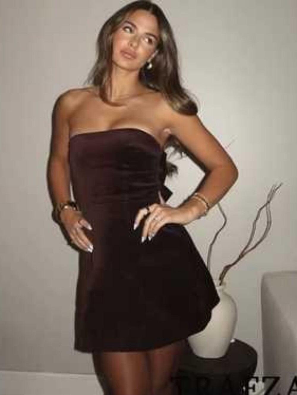 ZARA velvet bow mini dress